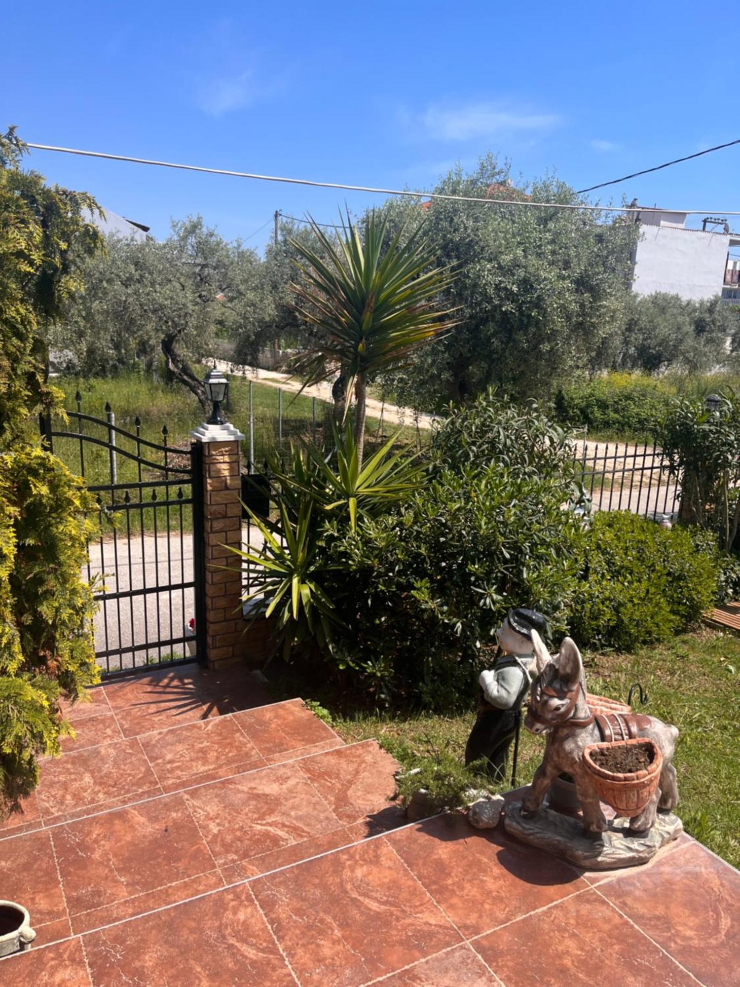 Alrose Apartment Limenaria  Exterior photo